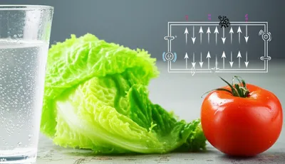 Illustration refrigeration - Image 1