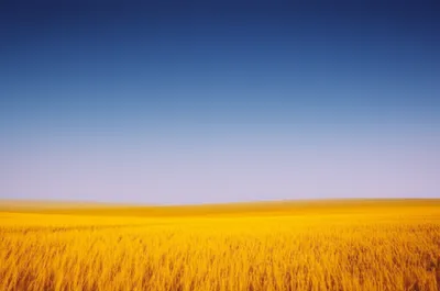 Illustration gradate - Image 1