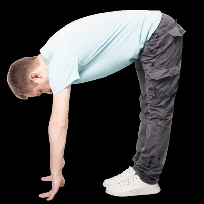 Illustration leg - Image 1