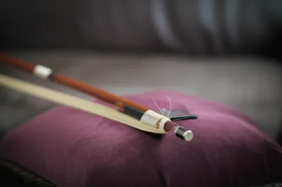 Illustration tip - Image 1