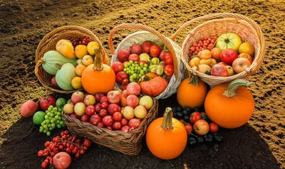 Illustration ample - Image 1