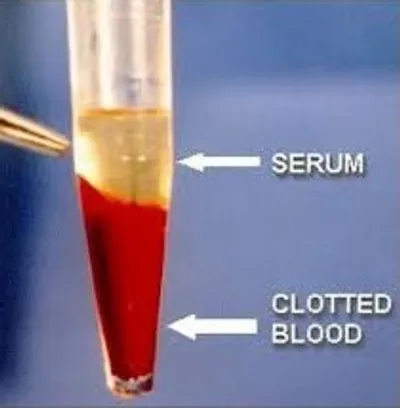 Illustration serum - Image 3