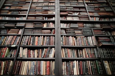 Illustration contents - Image 1