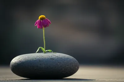 Illustration punish - Image 1