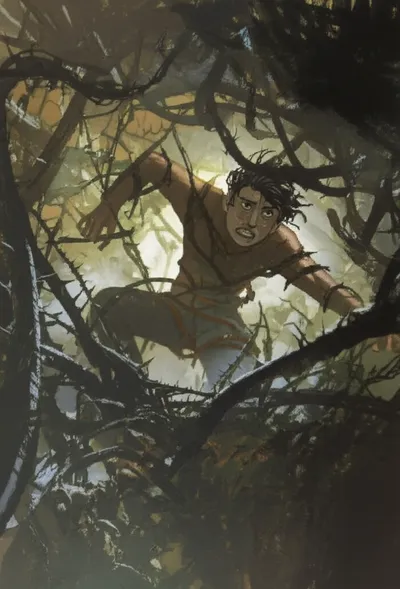 Illustration enmeshes - Image 1