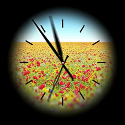 Illustration took - Image 1