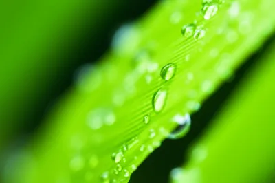 Illustration existing - Image 1