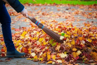 Illustration swept - Image 1