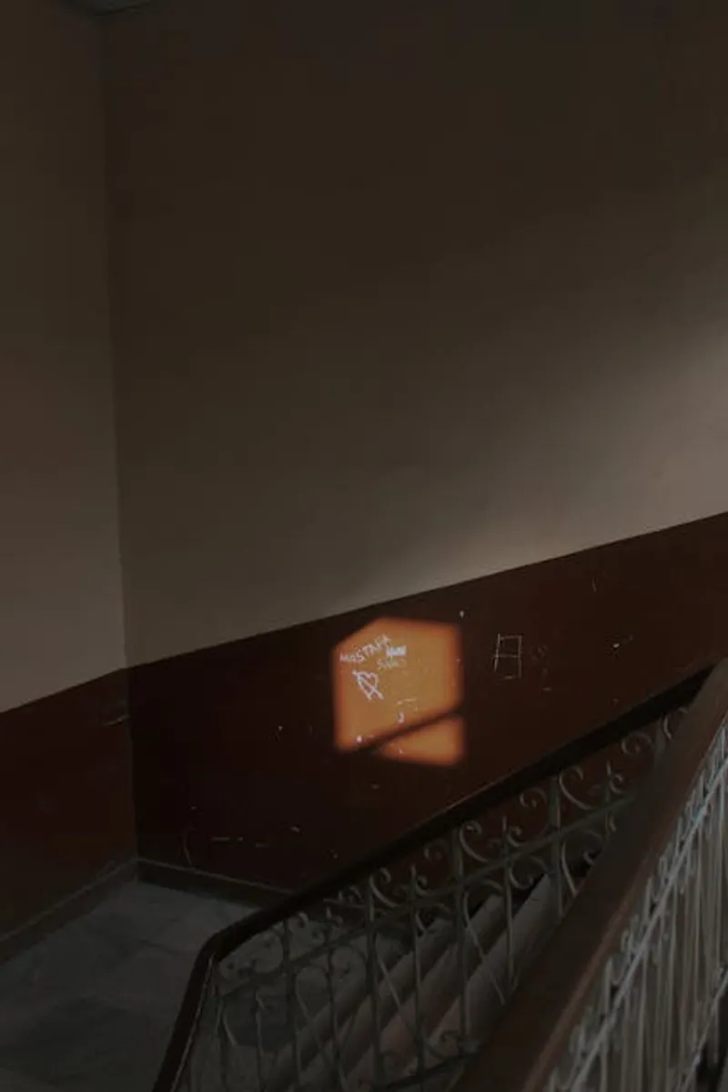 Ilustración visual de dado: Zócalo, arrimadero - Imagen 2