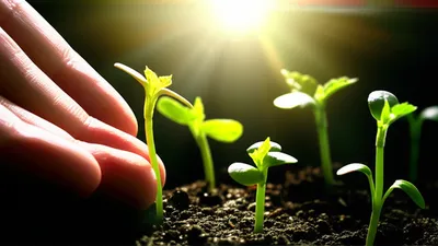 Illustration indoctrinating - Image 1