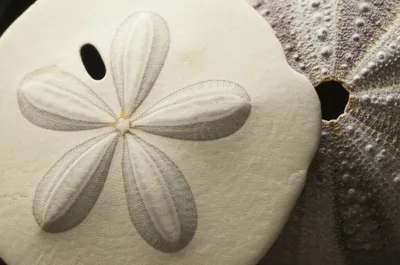 Illustration tests - Image 1