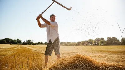 Illustration flailed - Image 1