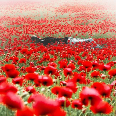 Illustration opioids - Image 1