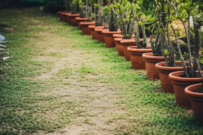 Illustration grooves - Image 1