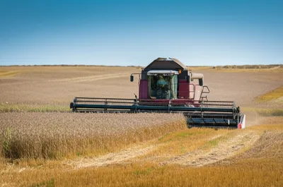 Illustration mown - Image 1