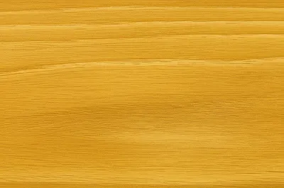 Illustration teak - Image 1