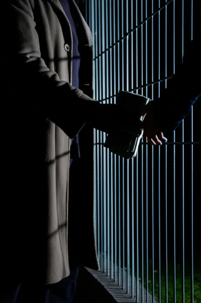 Illustration buck - Image 1