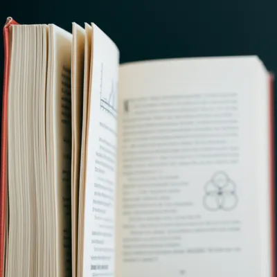 Illustration annexe - Image 1