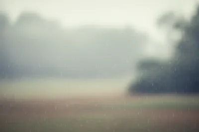 Illustration dags - Image 1