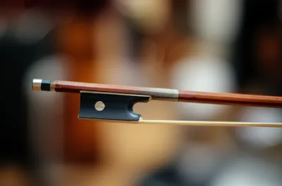 Illustration hair - Image 1