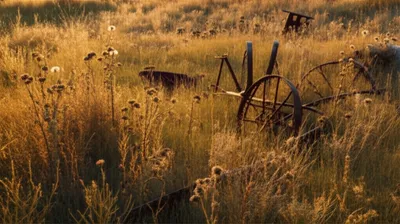 Illustration brise - Image 1