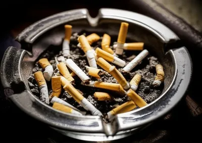 Illustration tray - Image 1