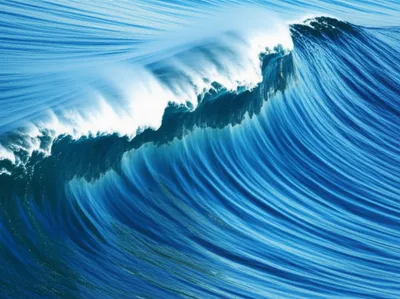 Illustration crest - Image 1