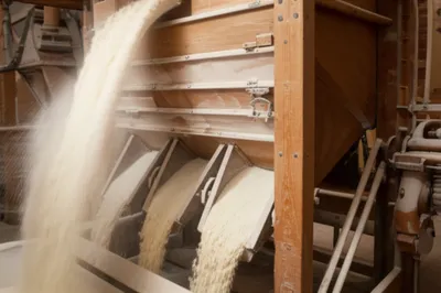 Illustration bolter - Image 1