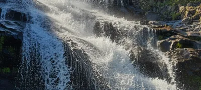 Illustration tears - Image 1