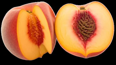 Illustration freestone - Image 1