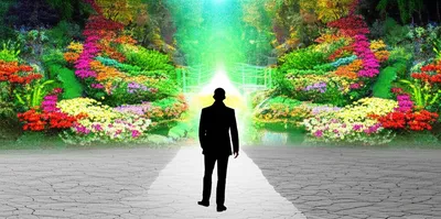 Illustration transported