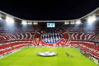 Illustration arena - Image 2