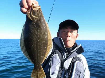 Illustration fluke - Image 1