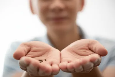 Illustration taking - Image 1