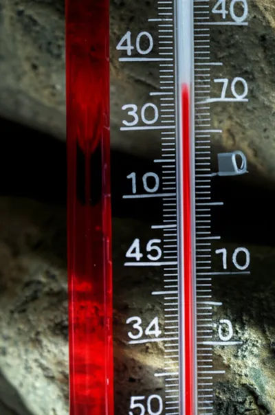 Illustration degrees - Image 1