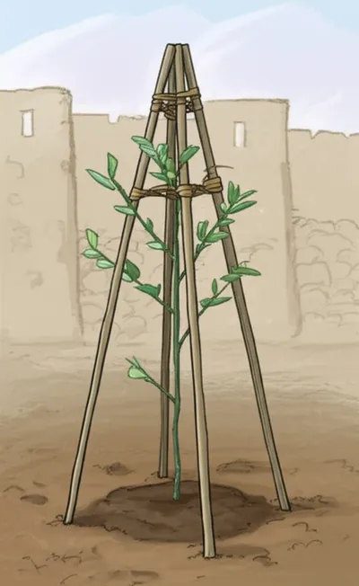 Illustration staked - Image 1