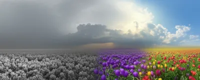 Illustration brightening - Image 1