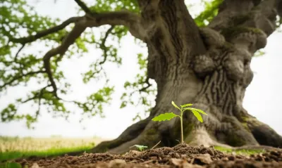 Illustration humbler - Image 1