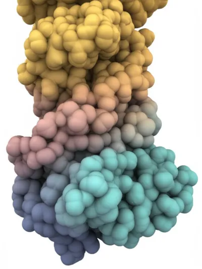 Illustration feet - Image 1