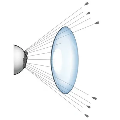 Illustration ocelli - Image 1