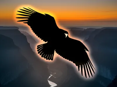 Illustration descended