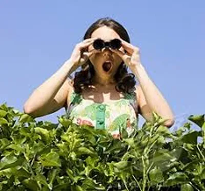 Illustration busybody - Image 2