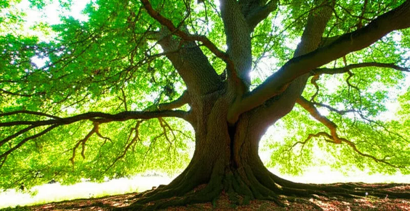 Визуальная иллюстрация слова «lasting» - Выполнять, осуществлять