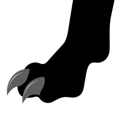 Illustration leg - Image 1