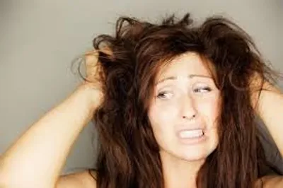 Illustration muss - Image 3