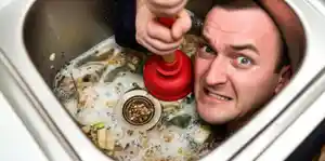 hình nền cho từ "dit"