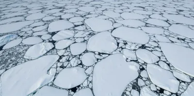 Illustration packs - Image 1