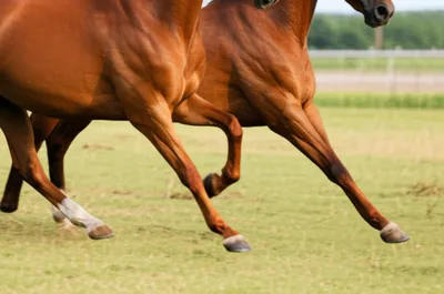 Illustration interferes - Image 1