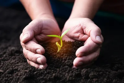 Illustration hugged - Image 1