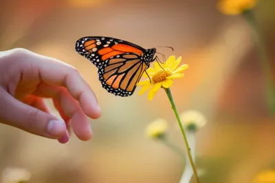 Illustration tact - Image 1